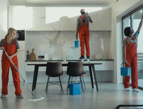 pexels-photo-6197108-6197108